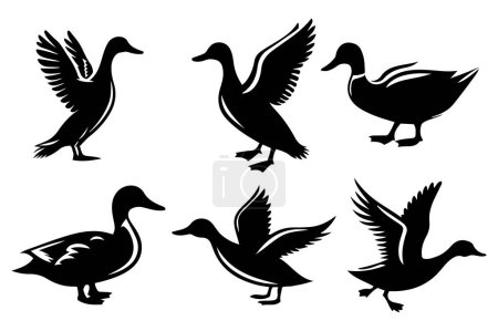 Duck silhouette set vector illustration.