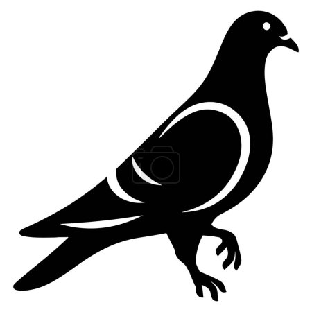 Pigeon bird silhouette vector illustration.
