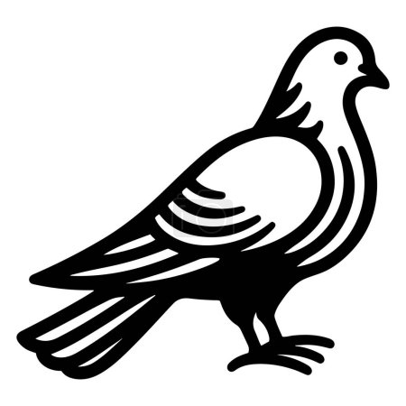 Pigeon Dove silhouette outline vector illustration.