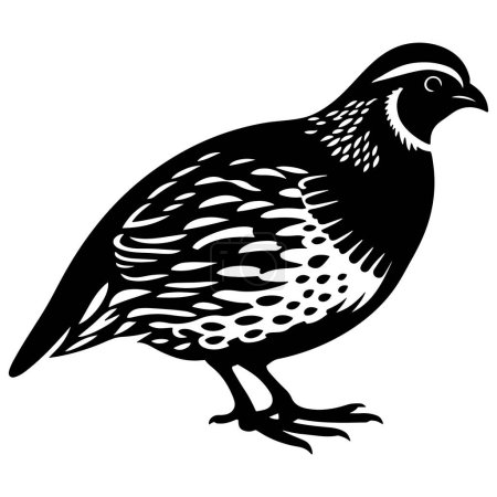 Quail bird silhouette vector illustration.