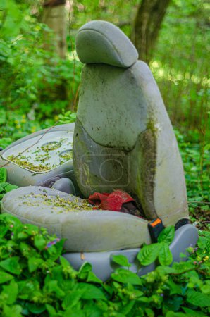 Photo for Old car seat covered in moss in the bush. High quality photo - Royalty Free Image