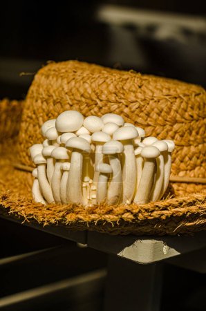 Close up of a bunch of enoki mushrooms on the straw hat. High quality photo