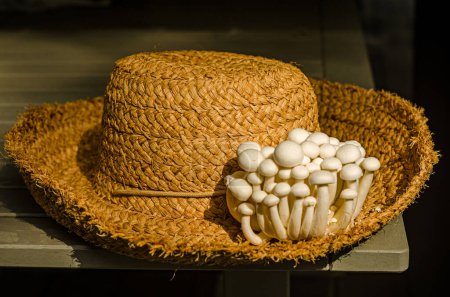  Las setas chinas enoki en el sombrero de paja Foto de alta calidad