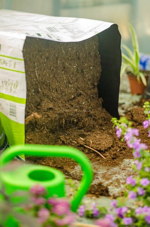 Téléchargez les photos : Pile de terre dans un arrosoir en plastique et vert.Image de jardinage. Photo de haute qualité - en image libre de droit