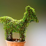The  Plant Shape as horse in garden