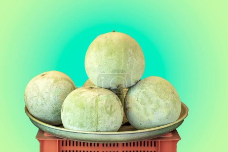 Photo for White Gourd  or Ash Gourd summer special Vegetable - Royalty Free Image