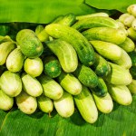 Agriculture produced Fresh Juicy Cucumber in the market