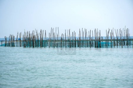 Landscape of Fishing net installed in Chilika Lake India