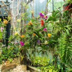 Variety of Orchid flowers at Floral Fantasy Singapore