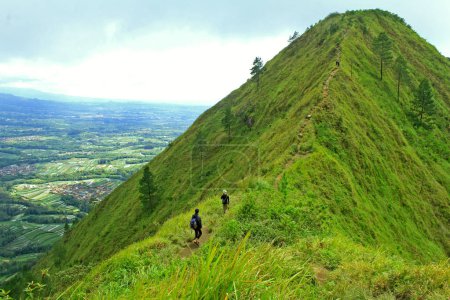 Téléchargez les photos : Magelang, Indonésie - 24 février 2020 : les grimpeurs montent au sommet à travers un sentier de randonnée entre les mauvaises herbes sur le bord de la gorge du mont Andong Magelang, Indonésie le 24 février 2020. - en image libre de droit