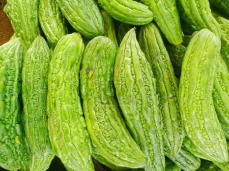 Photo for Fresh bitter gourd in Pakistani market for sale. Step into a world of culinary delight as the vibrant Pakistani market unveils its latest treasure. - Royalty Free Image