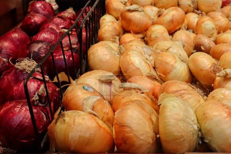 Rote und weiße Zwiebeln im Supermarkt