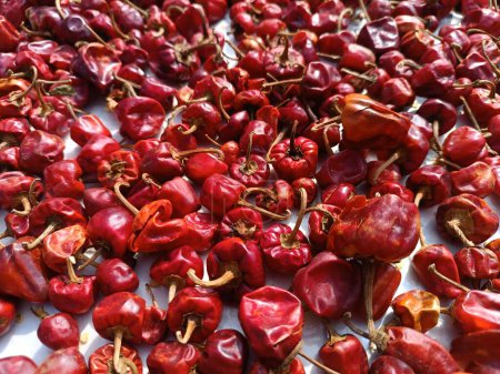 The spicy indian red chillies close up image. 