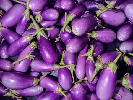 Close-up of vibrant violet brinjals. Fresh produce.