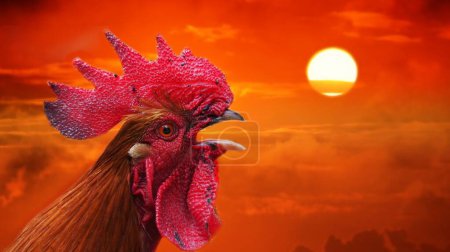 Vibrant rooster crowing at sunrise, symbolizing new beginnings.