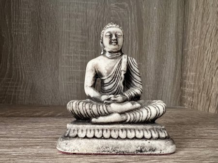 Serene Buddha Statue with Succulent Plant in Modern Decor