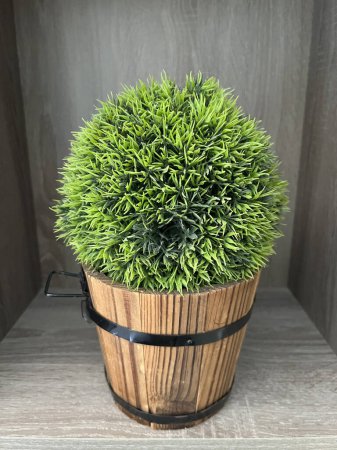 Topiary Ball in Wooden Barrel Planter