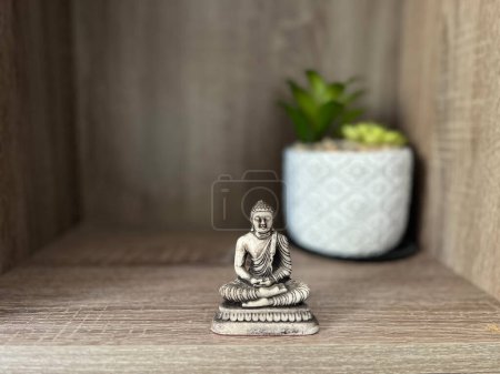 Serene Buddha Statue with Succulent Plant in Modern Decor