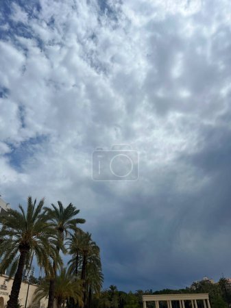 Esta imagen captura una escena dramática de un cielo nublado con nubes oscuras y arremolinadas que se reúnen sobre exuberantes palmeras. El contraste entre las nubes oscuras de tormenta y el follaje verde brillante de la palma
