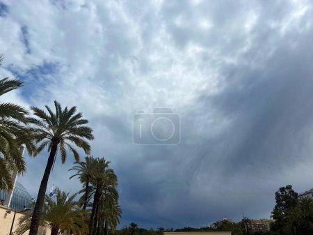 This image captures the dramatic interaction between storm clouds and tropical scenery, featuring tall palm trees under a swirling, tumultuous sky. The contrast between the darkening clouds and the