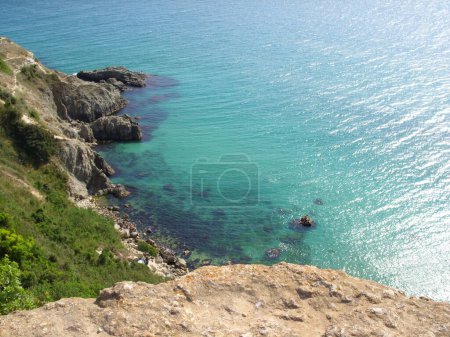 Top view and pine trees on a sunny summer morning. Black Sea