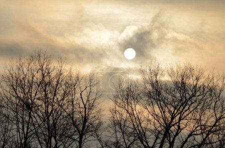 sun and cloudy sky, sun outline, trees