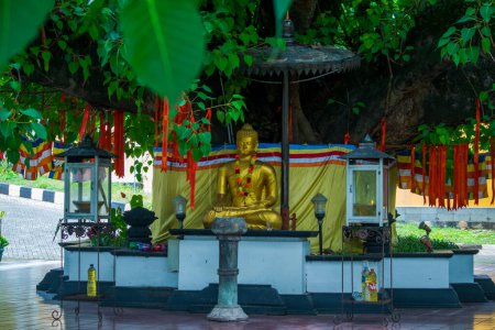 Pohon Bodhi or The tree of Bodhi is located in front of the Pagoda Avalokitesvara. The tree has a symbol as the tree of immortality contains hope and prayers.