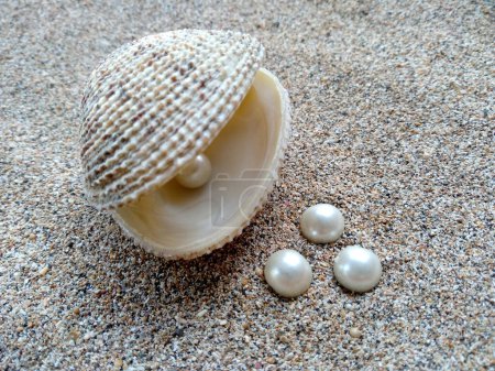 Coquille avec une perle. Coquilles et perles dans le sable. Coquille avec une perle sur une plage de sable. Une coquille ouverte avec une perle à l'intérieur