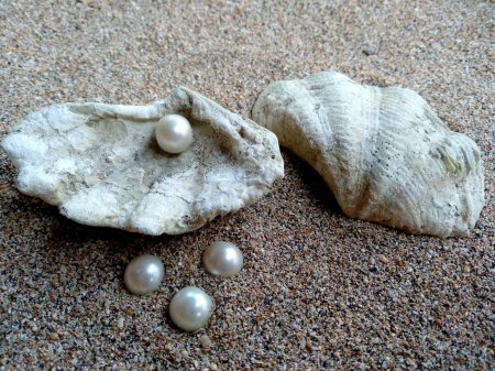 Concha con una perla. Conchas y perlas en la arena. Concha con una perla en una arena de playa. Una concha de mar abierto con una perla en el interior