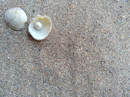 Concha con una perla. Conchas y perlas en la arena. Concha con una perla en una arena de playa. Una concha de mar abierto con una perla en el interior
