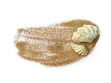Foto de Conchas marinas y playa de arena. Conchas marinas en pila de arena aisladas sobre fondo blanco. Composición de conchas marinas exóticas sobre un fondo blanco - Imagen libre de derechos