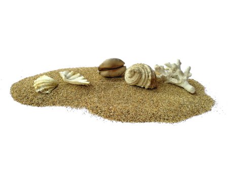 Téléchargez les photos : Coquillages de mer et plage de sable. Coquilles de mer dans un tas de sable isolé sur fond blanc. Composition de coquillages exotiques sur fond blanc - en image libre de droit