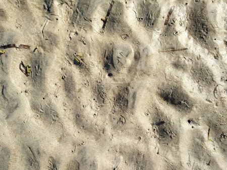 Rückläufige Flut am Strand. Sand am Strand als Hintergrund. Textur feiner Sandstrand an sonnigen Tagen. Hintergrund und Struktur des Sandmusters an einem Strand im Sommer