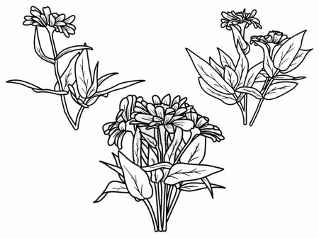 Ilustración de Fondo de arte de línea de flores con estilo de contorno. Vector de flores dibujado a mano para la decoración de flores, marco de flores, borde de esquina de flores e ilustración de arreglos florales - Imagen libre de derechos
