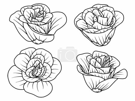 Illustration for Flower Line art Background with Outline Style. Hand Drawn Flower Vector for Flower Decoration, Flower frame, Flower Corner border and Flower Bouquet Arrangement Illustration - Royalty Free Image