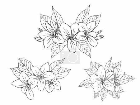 Illustration for Flower Line art Background with Outline Style. Hand Drawn Flower Vector for Flower Decoration, Flower frame, Flower Corner border and Flower Bouquet Arrangement Illustration - Royalty Free Image