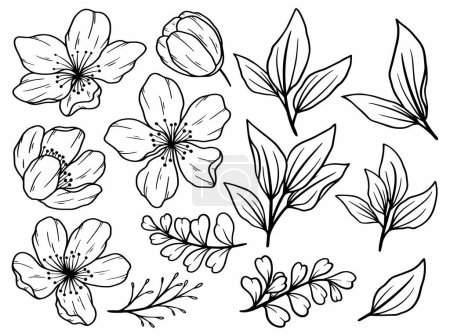 Téléchargez les photos : Fleur botanique abstraite ligne art, dessin à la main des fleurs d'art, vecteur fleur feuille et branches illustration - en image libre de droit