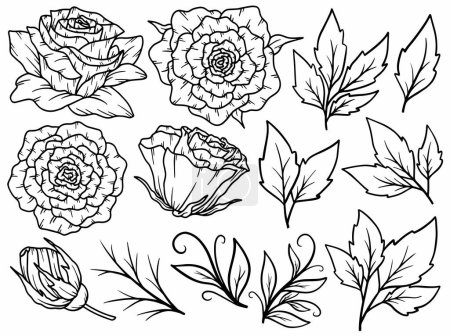 Ilustración de Flor botánica abstracta línea de arte, dibujado a mano línea de arte flores, vector flor hoja y ramas ilustración - Imagen libre de derechos