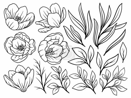 Illustration for Flower botanical abstract line art, hand drawn line art flowers, vector flower leaf and branches illustration - Royalty Free Image