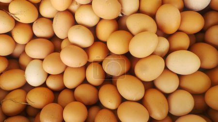Photo for A large pile of chicken eggs. Good as a background - Royalty Free Image