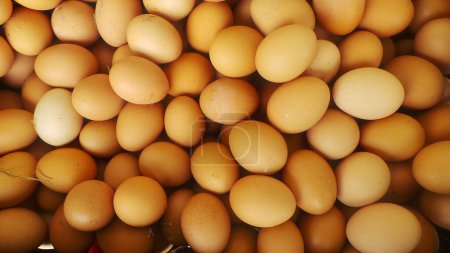 A large pile of chicken eggs. Good as a background