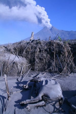 The eruption of Mount Merapi in Yogyakarta, Indonesia. Blue sky background