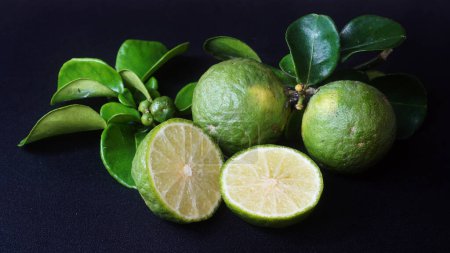 Kaffir Lime or Citrus hystrix. Some are whole, some have been sliced. Focus selected, black background
