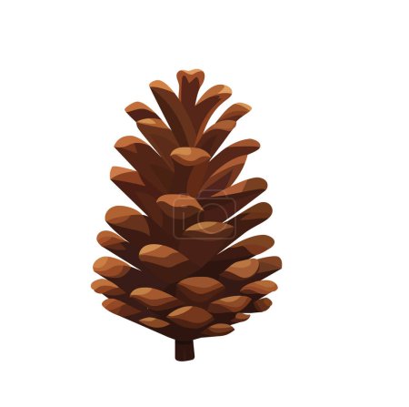 Illustration for Open fir cone. Vector illustration on white background. - Royalty Free Image
