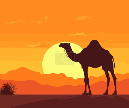 Kamel und Wandern im Sonnenuntergang Ansichtsvektor, Silhouette eines Kamels Karawane mit Kamel in der Wüste auf Berge, Vektor Illustration.