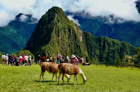 Foto de Machu Picchu, una de las 7 maravillas del mundo, Increble santuario inca en el corazn del sur de la Cordillera de Los Andes, a 80 km de la ciudad de Cusco, arquitectura imperdible, flora, fauna y paisaje. - Imagen libre de derechos