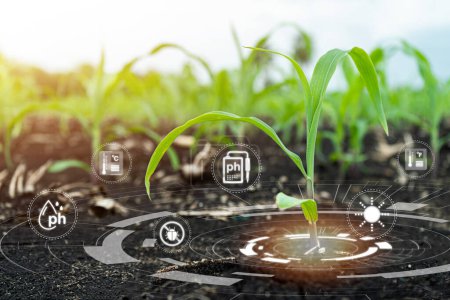 Agricultura y tecnología de inteligencia artificial en granjas inteligentes y plantas de IA, agricultura inteligente