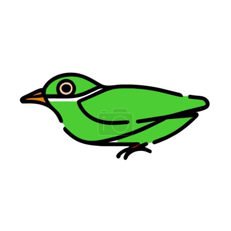 Acadian Flycatcher bird green icon vector illustration