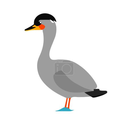 Alaotra Grebe duck grey icon vector illustration