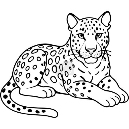 Amur Leopard rests icon vector illustration